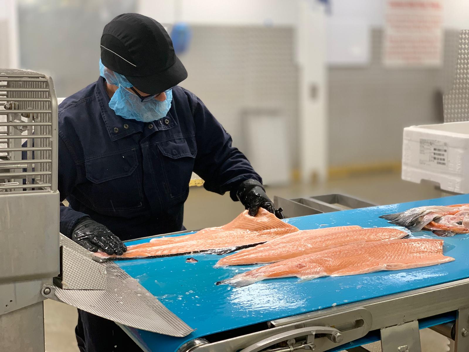 Technician diagnosing an issue with equipment